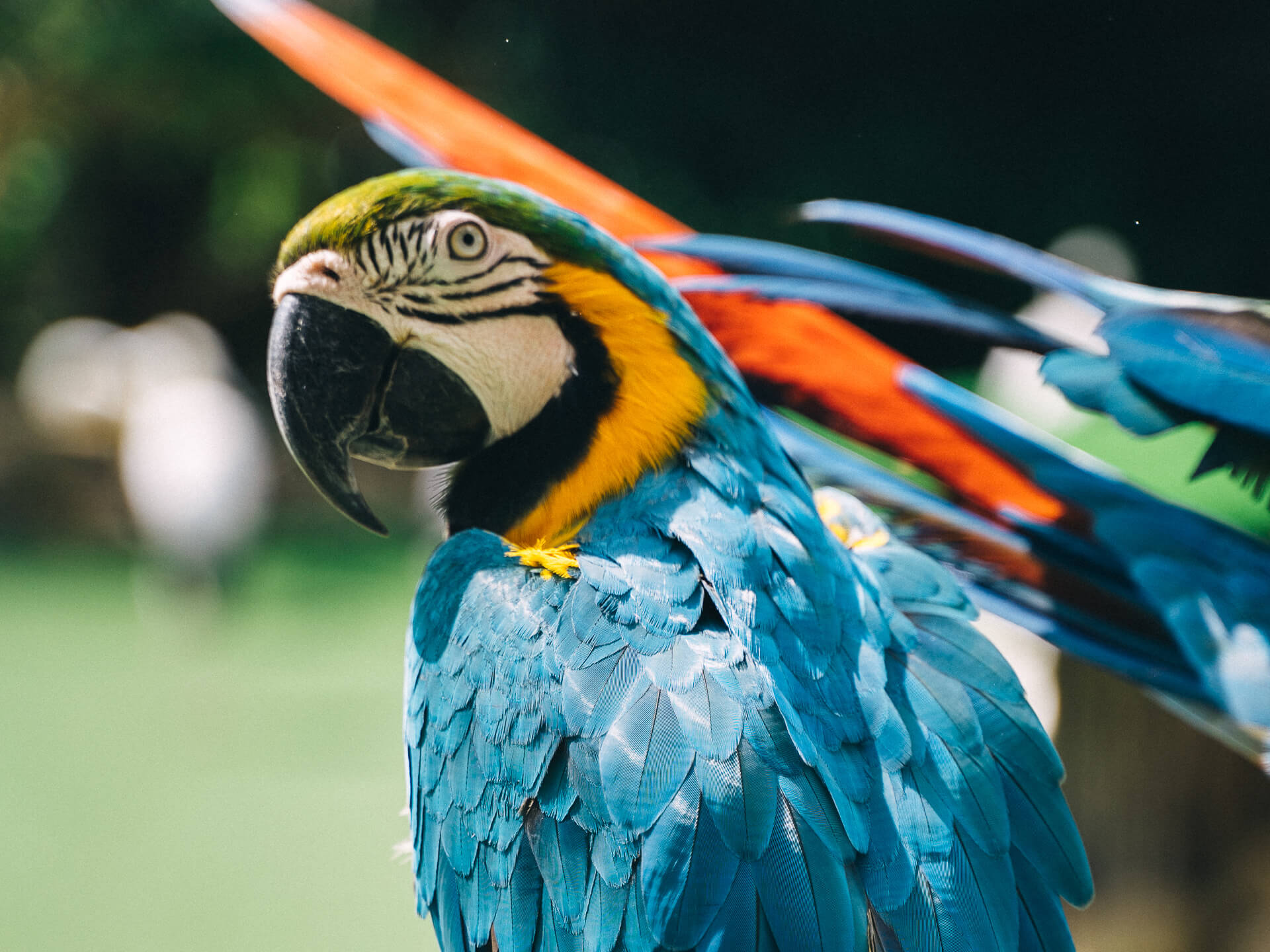 Silhouette Machine Parts Image