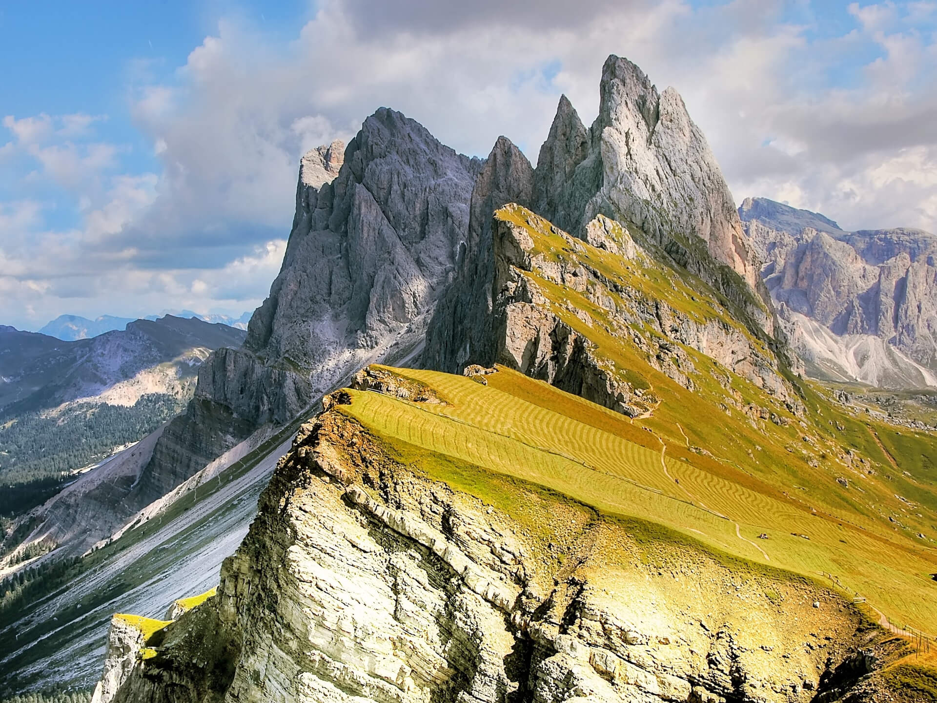 Silhouette Workshop Image